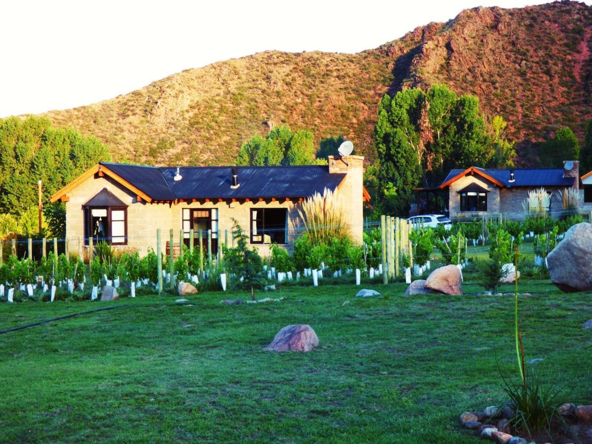 Ayres de Uco Lodge&Wine Lovers Los Árboles Extérieur photo